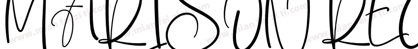 MARISON REGULAR字体转换